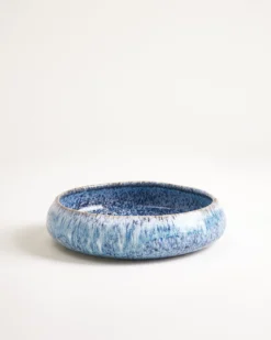 Cordoama - Pasta plate organic blue