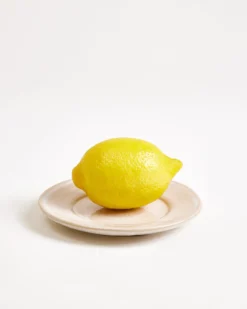 Cordoama - Saucer sand