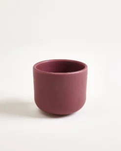 Sereno - Cup small burgundy